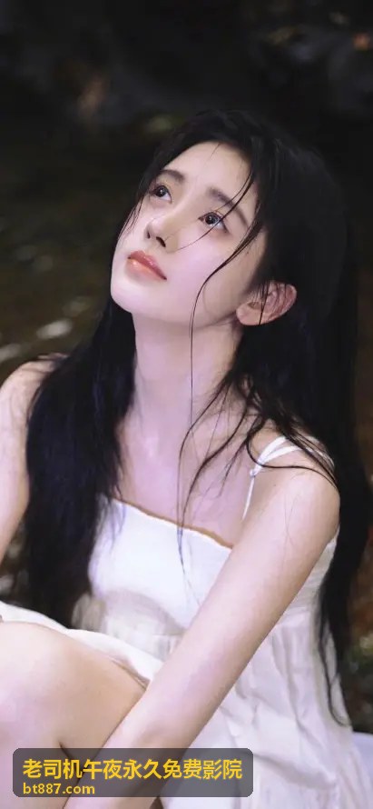 老司机午夜影院推荐爱情片